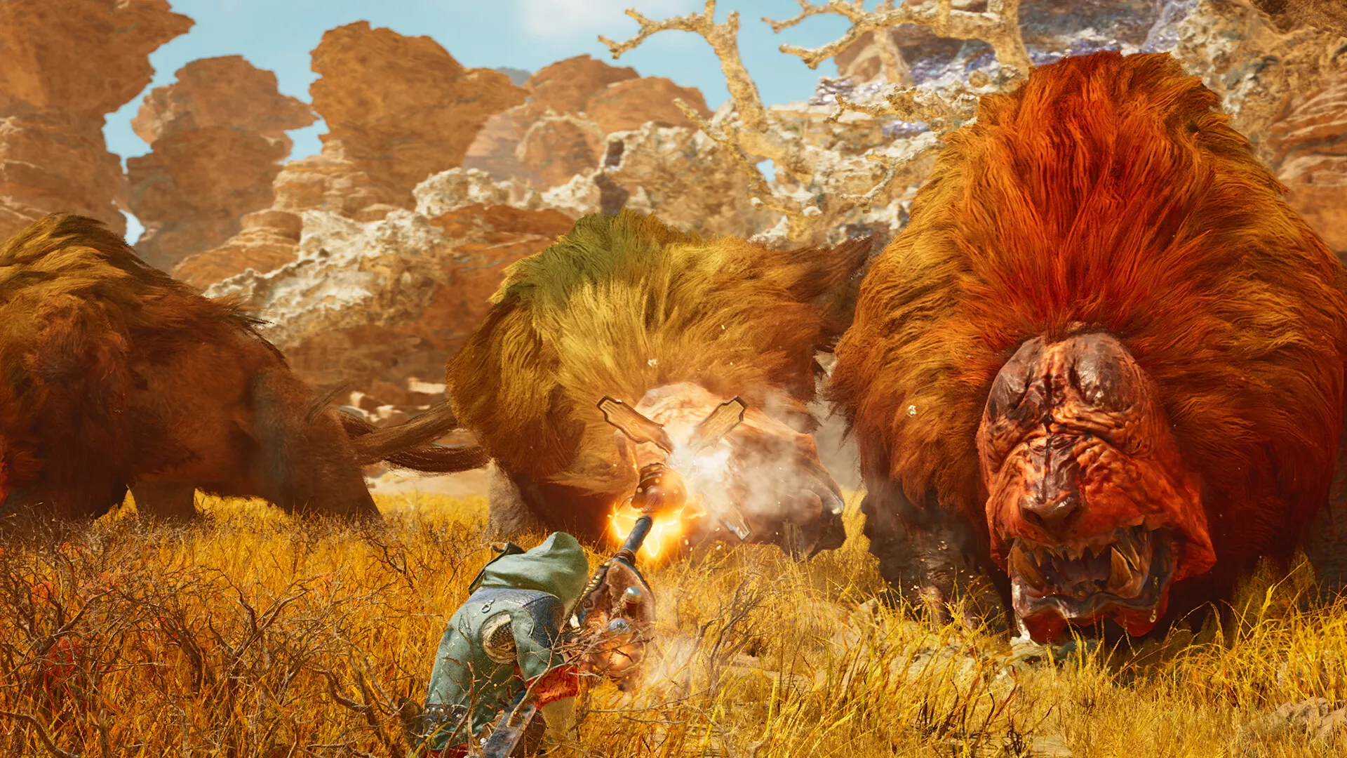 Build MH Wilds : le meilleur build pour débuter et progresser : visuel officiel