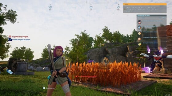 Taking care of Pals with wheat